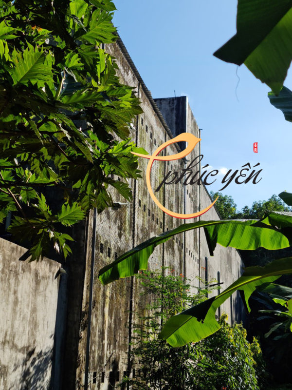 Yến Sào Phúc Yến