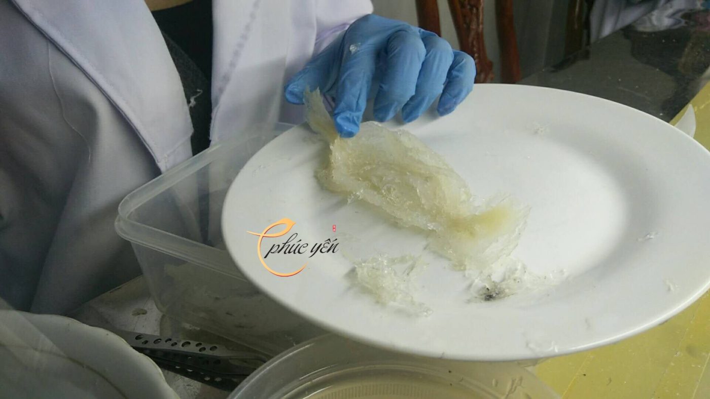 Yến Sào Phúc Yến