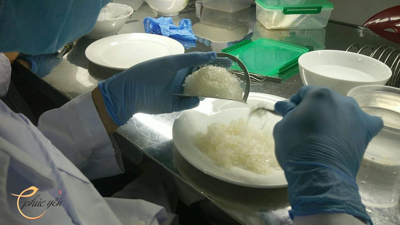 Yến Sào Phúc Yến