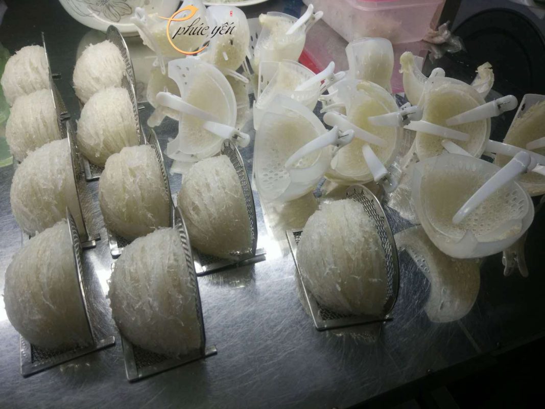 Yến Sào Phúc Yến