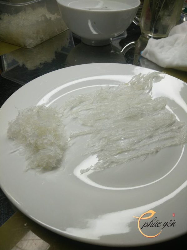 Yến Sào Phúc Yến